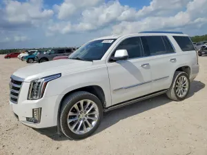Cadillac Escalade 6.2L 8 2019