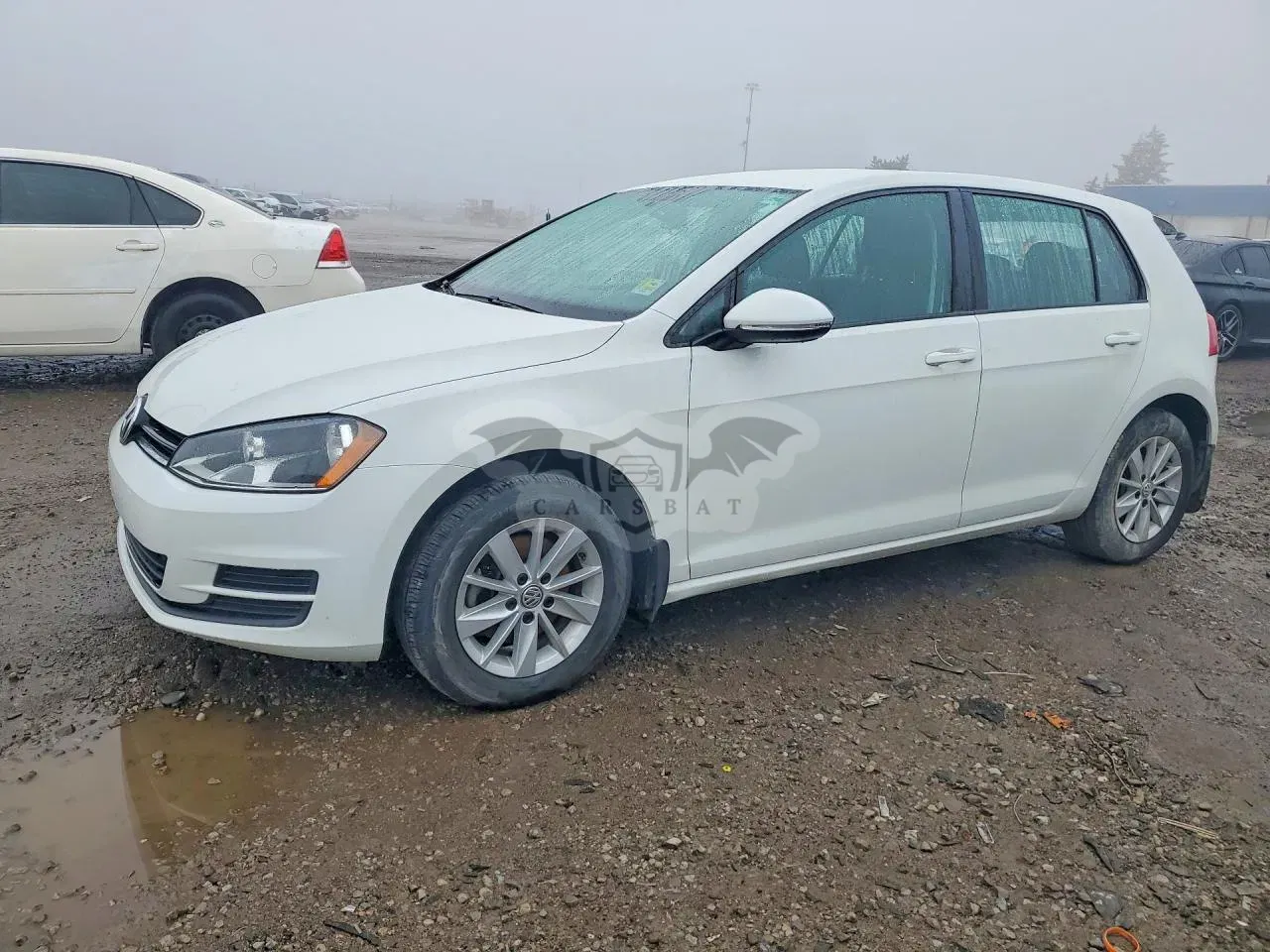 Volkswagen Golf 1.8L 4 2016