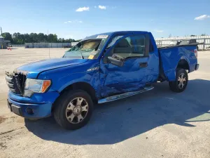 Ford F-150 4.6L 8 2010