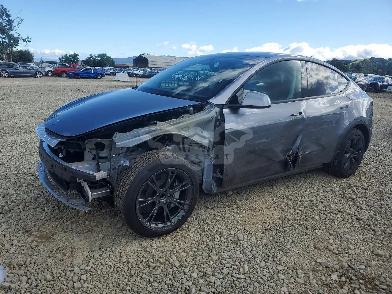 Tesla Model Y 2025