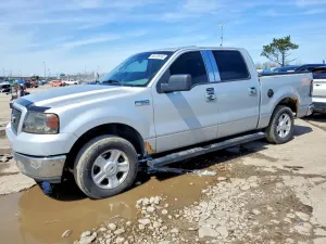 Ford F-150 4.6L 8 2004