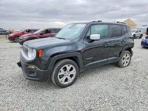 Jeep Renegade 2.4L 4 2016