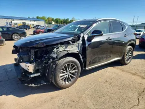 Lexus NX 2.4L 4 2025