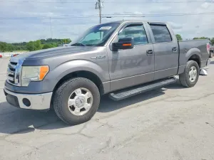 Ford F-150 4.6L 8 2009