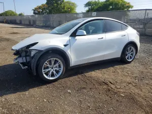 Tesla Model Y 2020