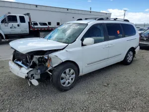 Hyundai Entourage 3.8L 6 2007