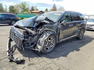 Hyundai Palisade 3.8L 6 2023