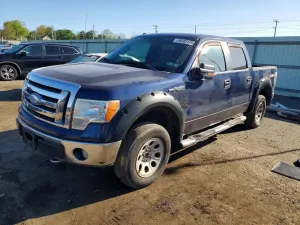 Ford F-150 4.6L 8 2009
