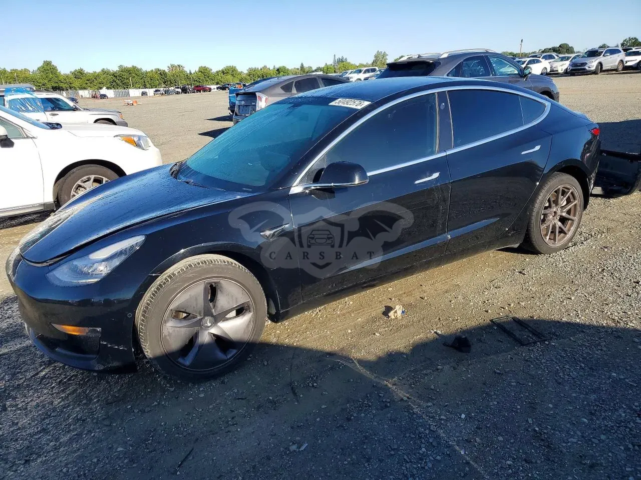 Tesla Model 3 2019