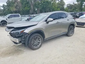 Lexus NX 2.4L 4 2024