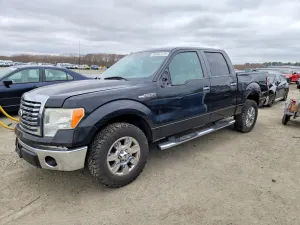 Ford F-150 4.6L 8 2010