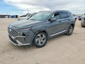 Hyundai Santa Fe 2.5L 4 2022