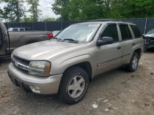 Chevrolet Trailblazer 4.2L 6 2002