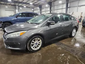 Ford Focus 2.0L 4 2016