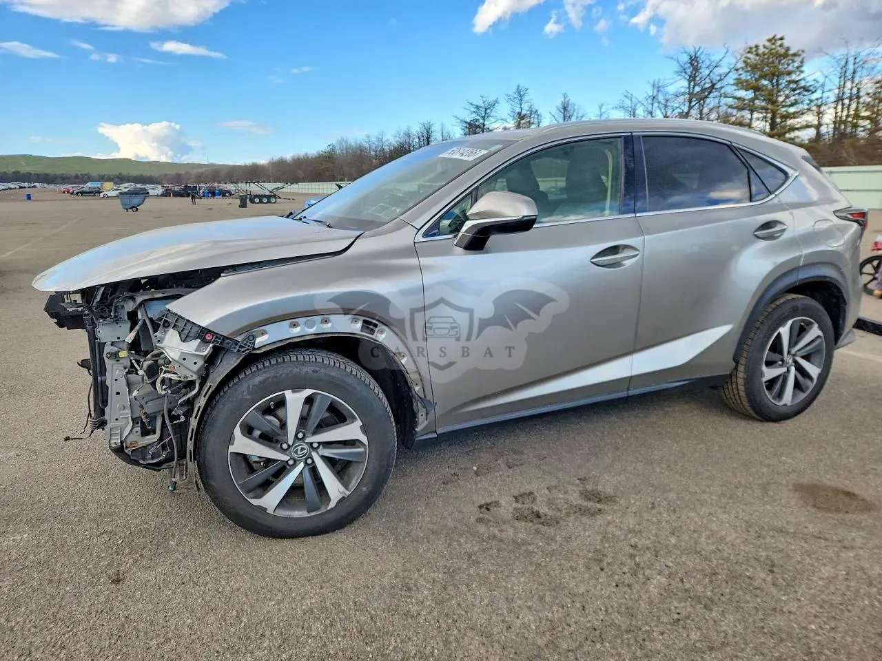 Lexus NX 2.0L 4 2020