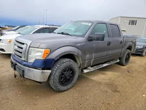 Ford F-150 4.6L 8 2010