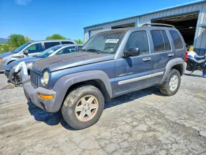 Jeep Liberty 3.7L 6 2002