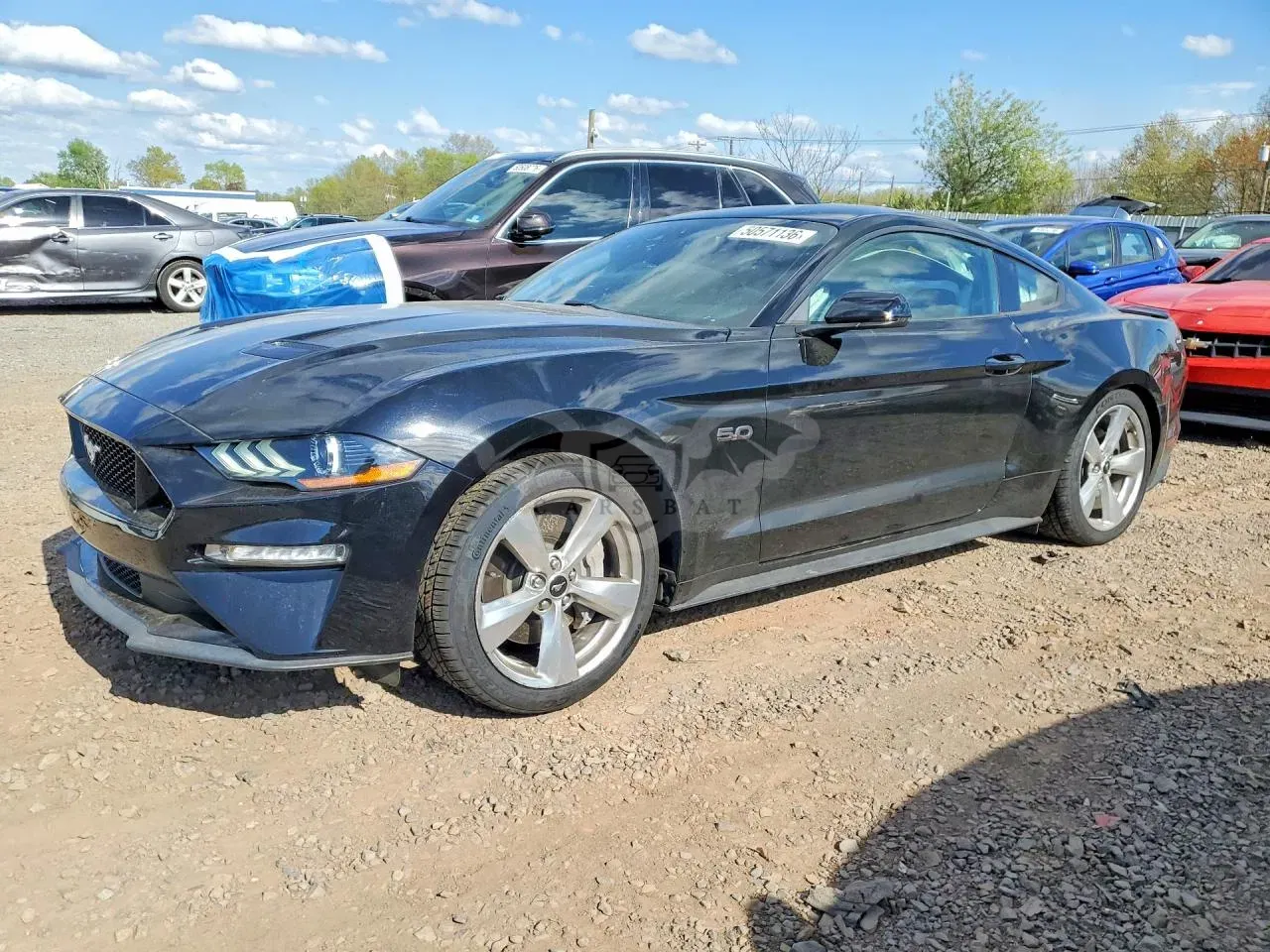 Ford Mustang 5.0L 8 2019