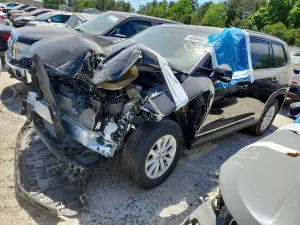 Ford Escape 1.5L 3 2024