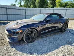 Ford Mustang 2.3L 4 2022