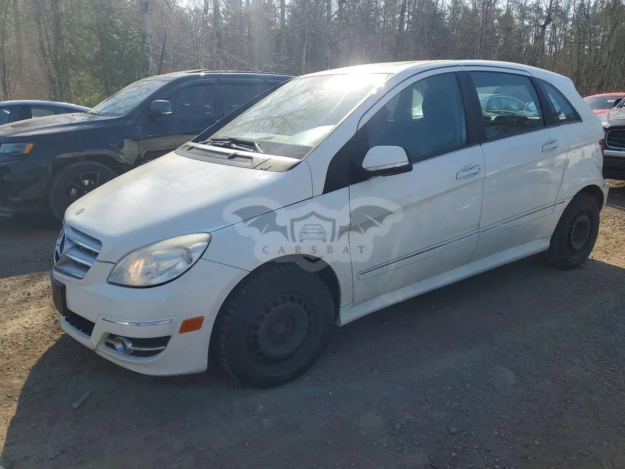 Mercedes-Benz B 2.0L 4 2010
