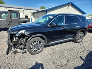Hyundai Palisade 3.8L 6 2024