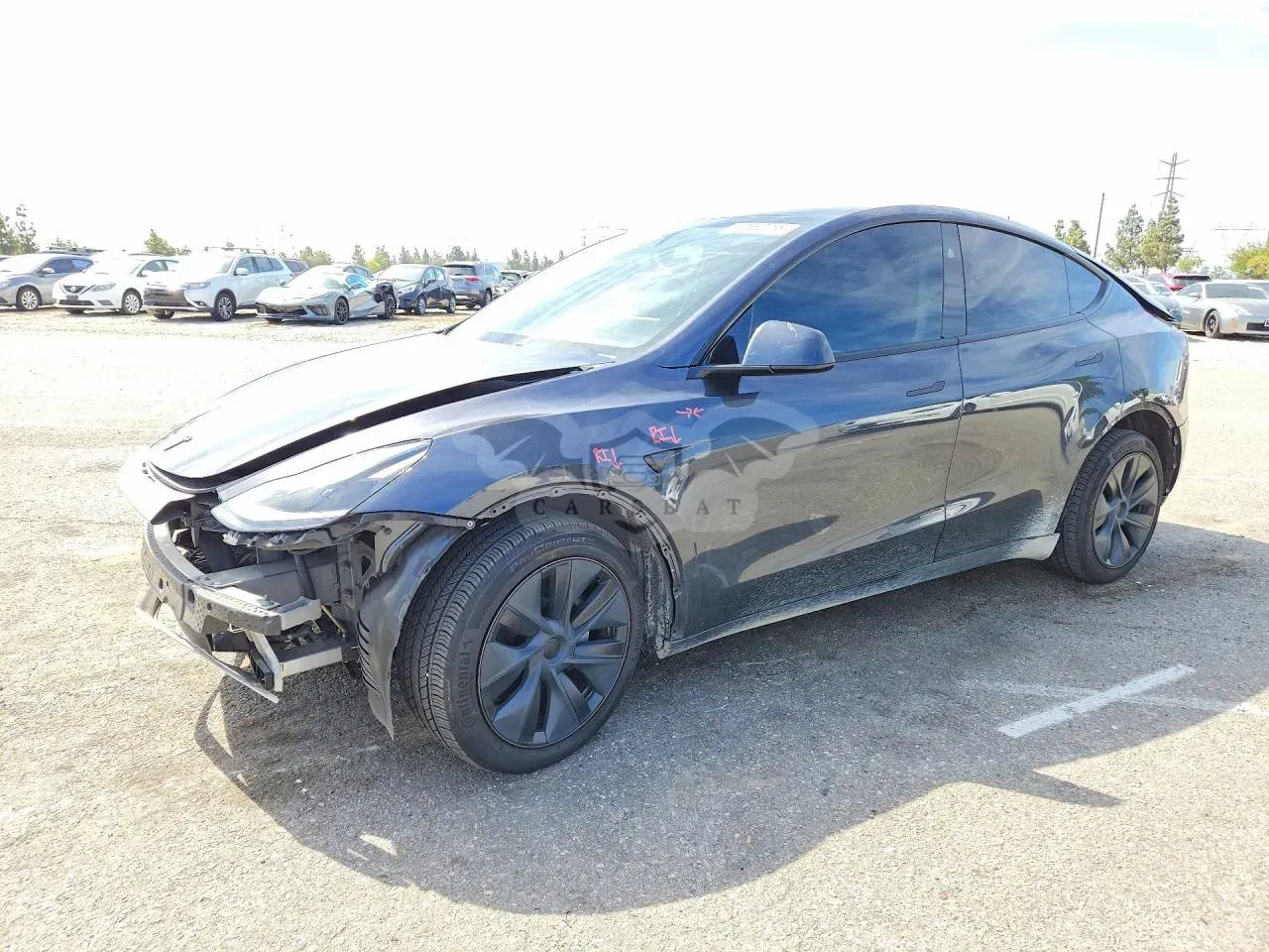 Tesla Model Y 2024
