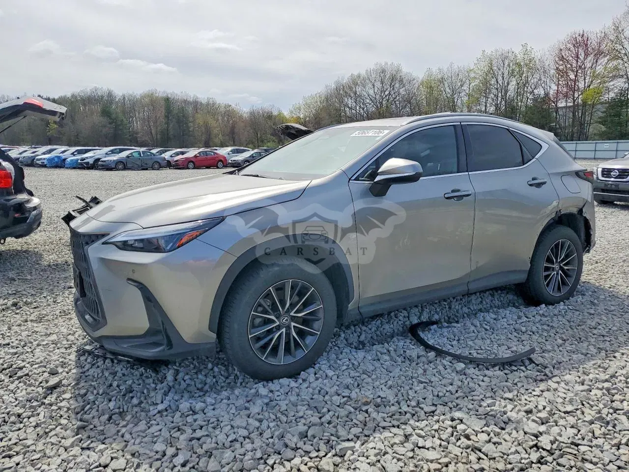 Lexus NX 2.4L 4 2024