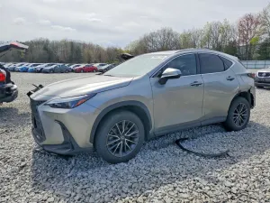 Lexus NX 2.4L 4 2024