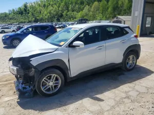 Hyundai Kona 2.0L 4 2019