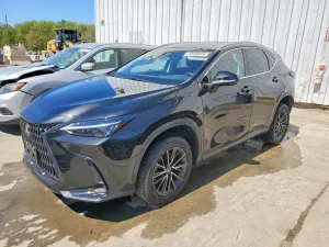 Lexus NX 2.4L 4 2022