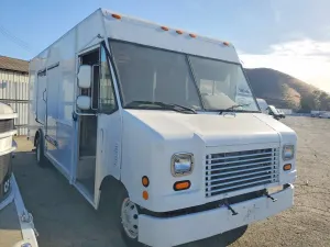 Ford Econoline 5.4L 8 2007
