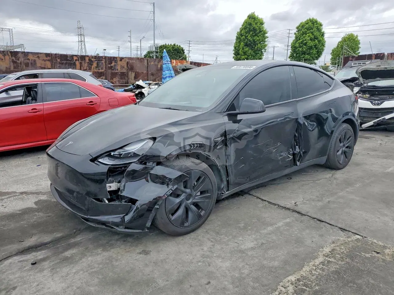 Tesla Model Y 2024