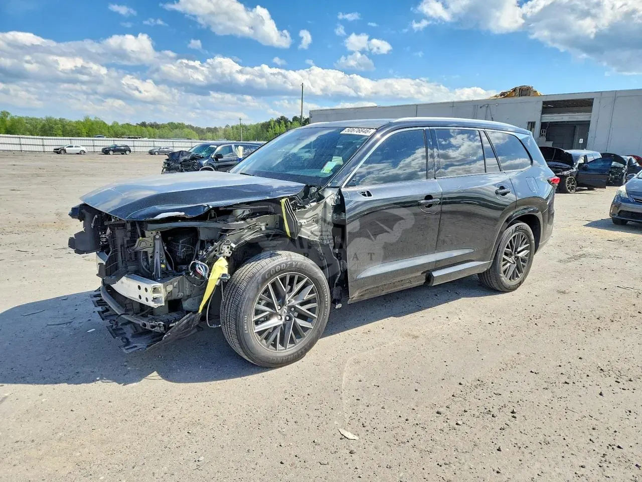Lexus TX Series 2.4L 4 2024