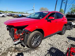 Lexus NX 2.4L 4 2024