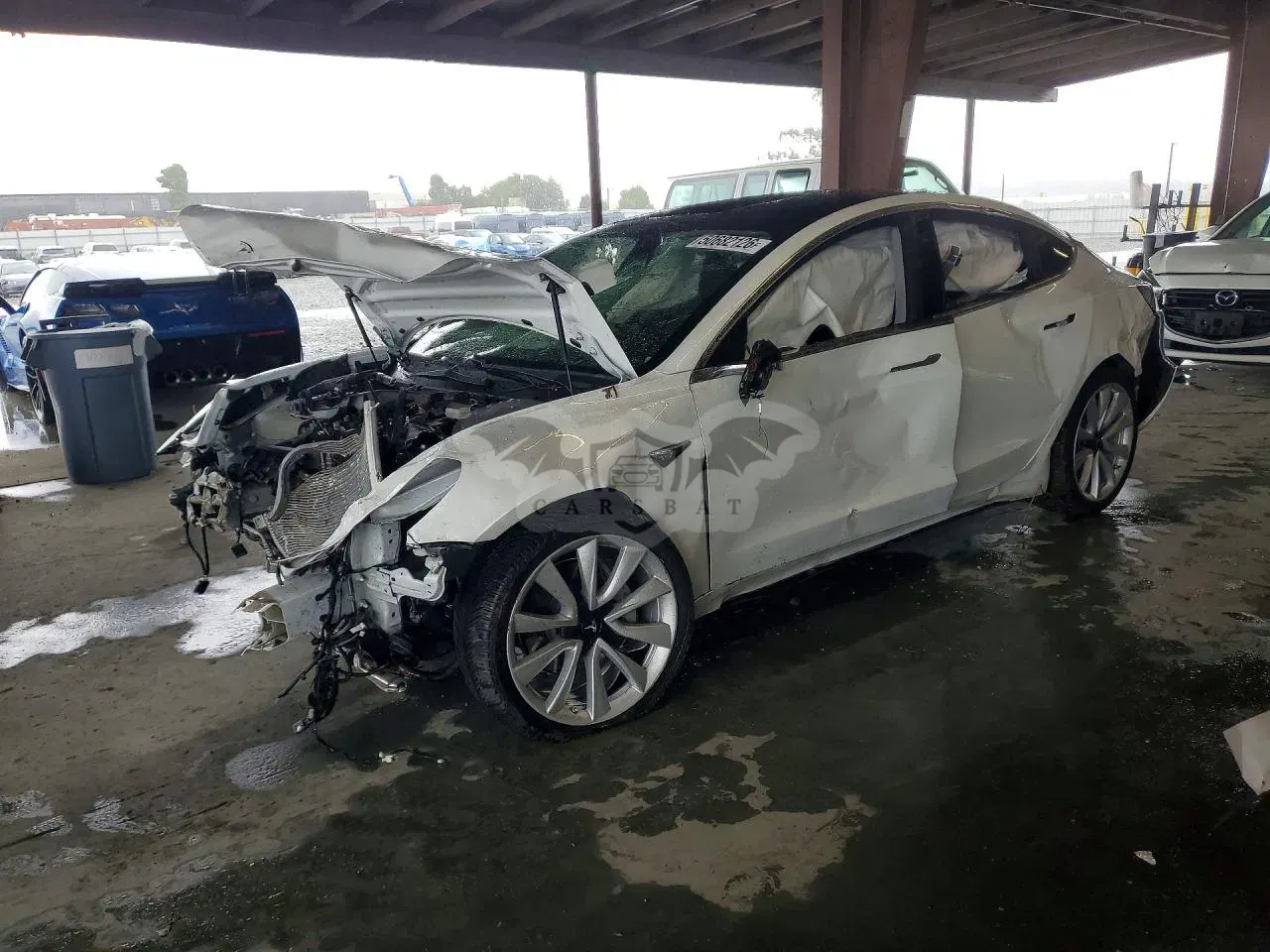 Tesla Model 3 2019