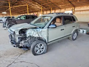 Hyundai Tucson 2.0L 4 2009