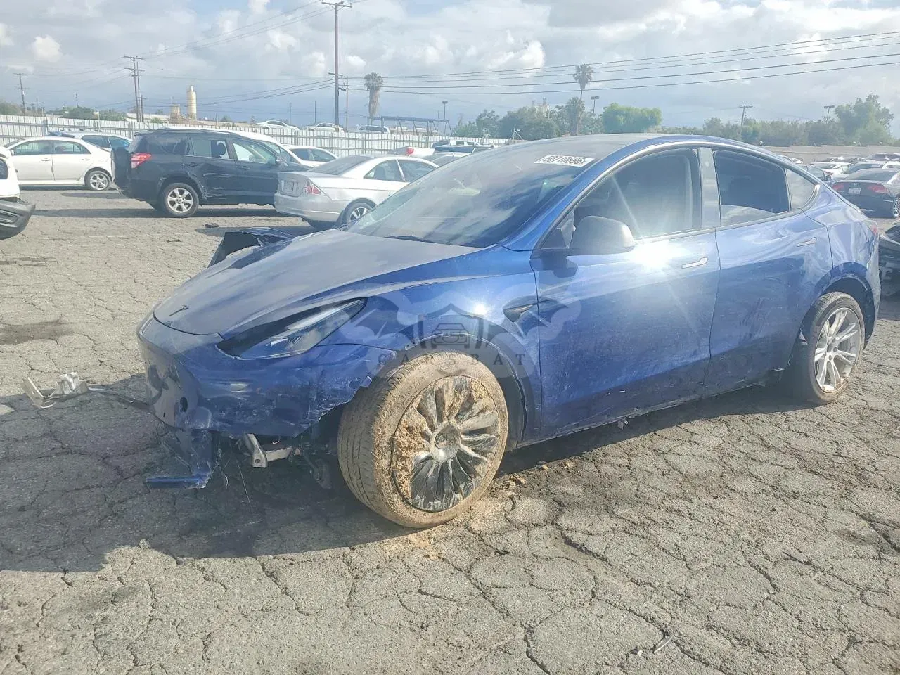 Tesla Model Y 2021
