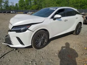 Lexus RX 2.4L 4 2024