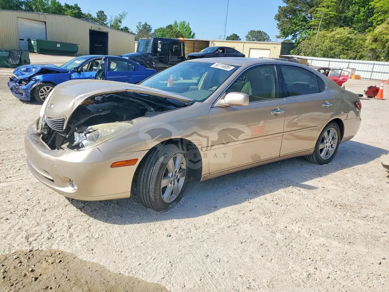 Lexus ES 3.3L 6 2005