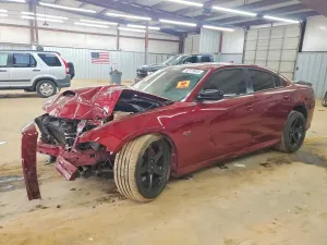 Dodge Charger 5.7L 8 2020