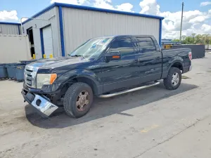 Ford F-150 4.6L 8 2009