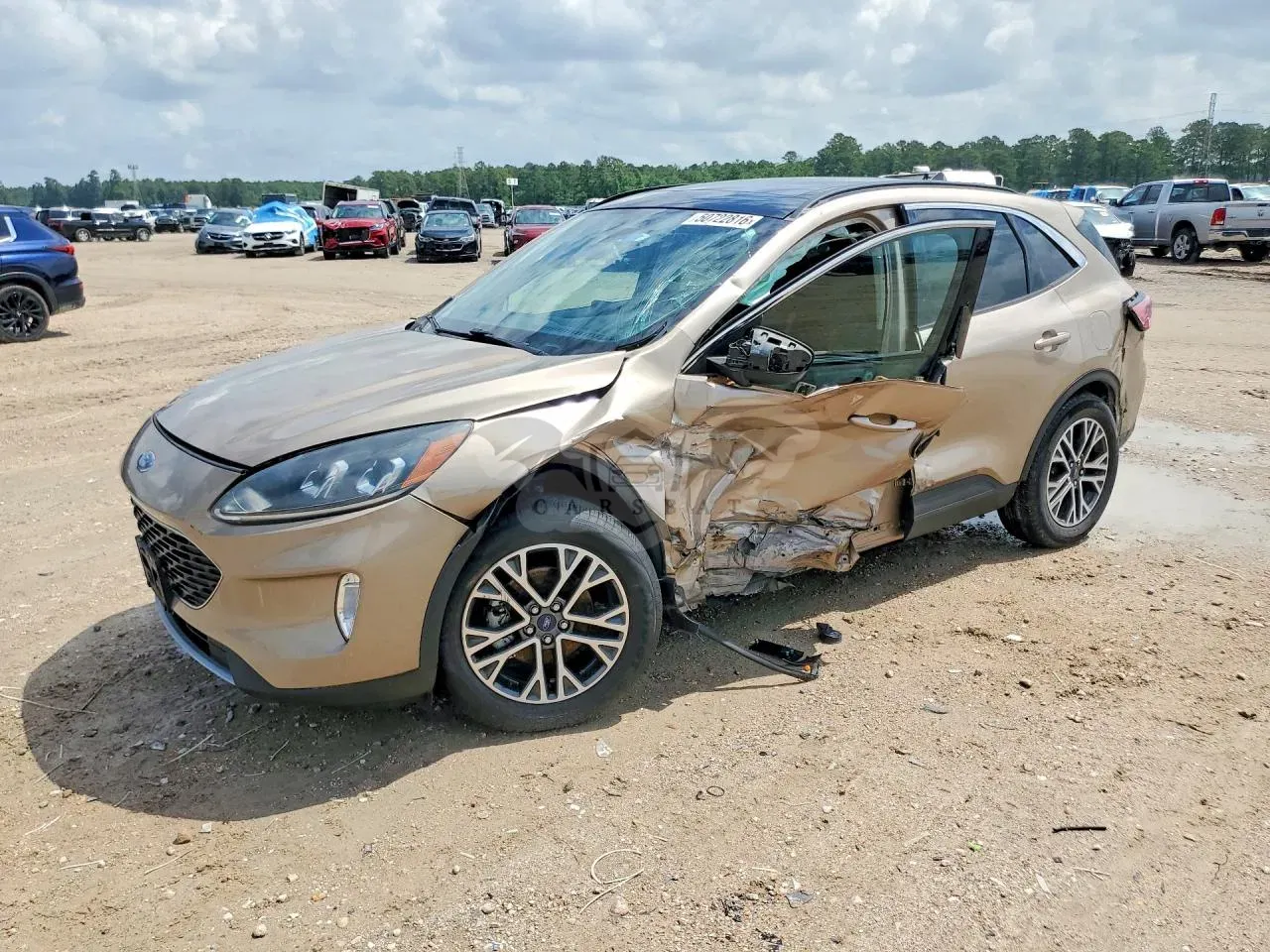 Ford Escape 1.5L 3 2020