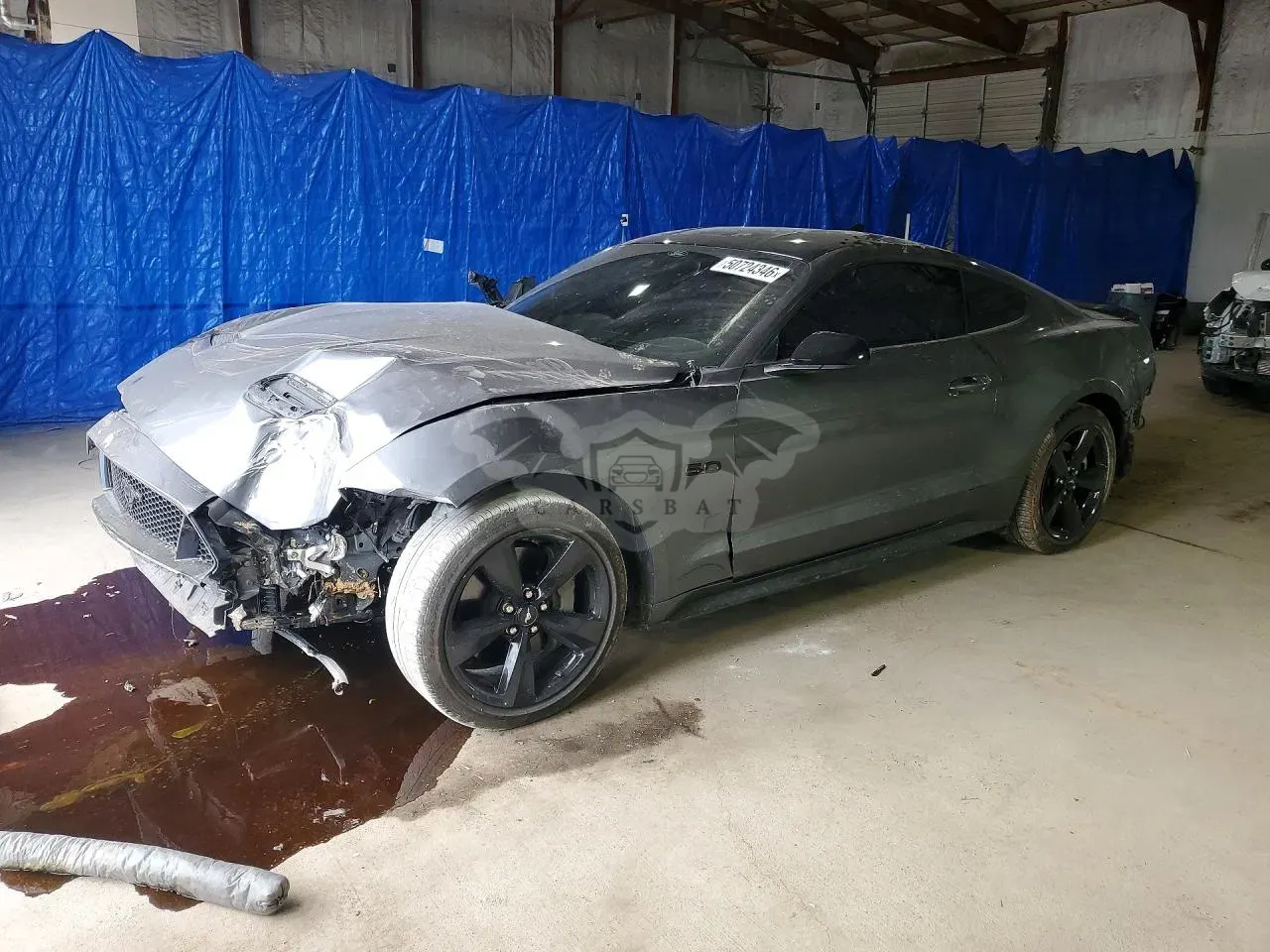 Ford Mustang 5.0L 8 2023