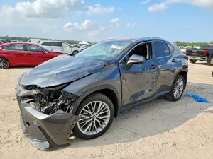 Lexus NX 2.4L 4 2025