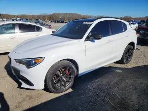 Alfa Romeo Stelvio 2.0L 4 2021