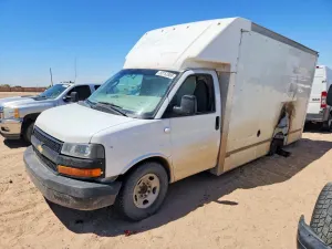 Chevrolet Express 6.6L 8 2021