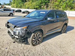 Hyundai Santa Fe 2.5L 4 2023