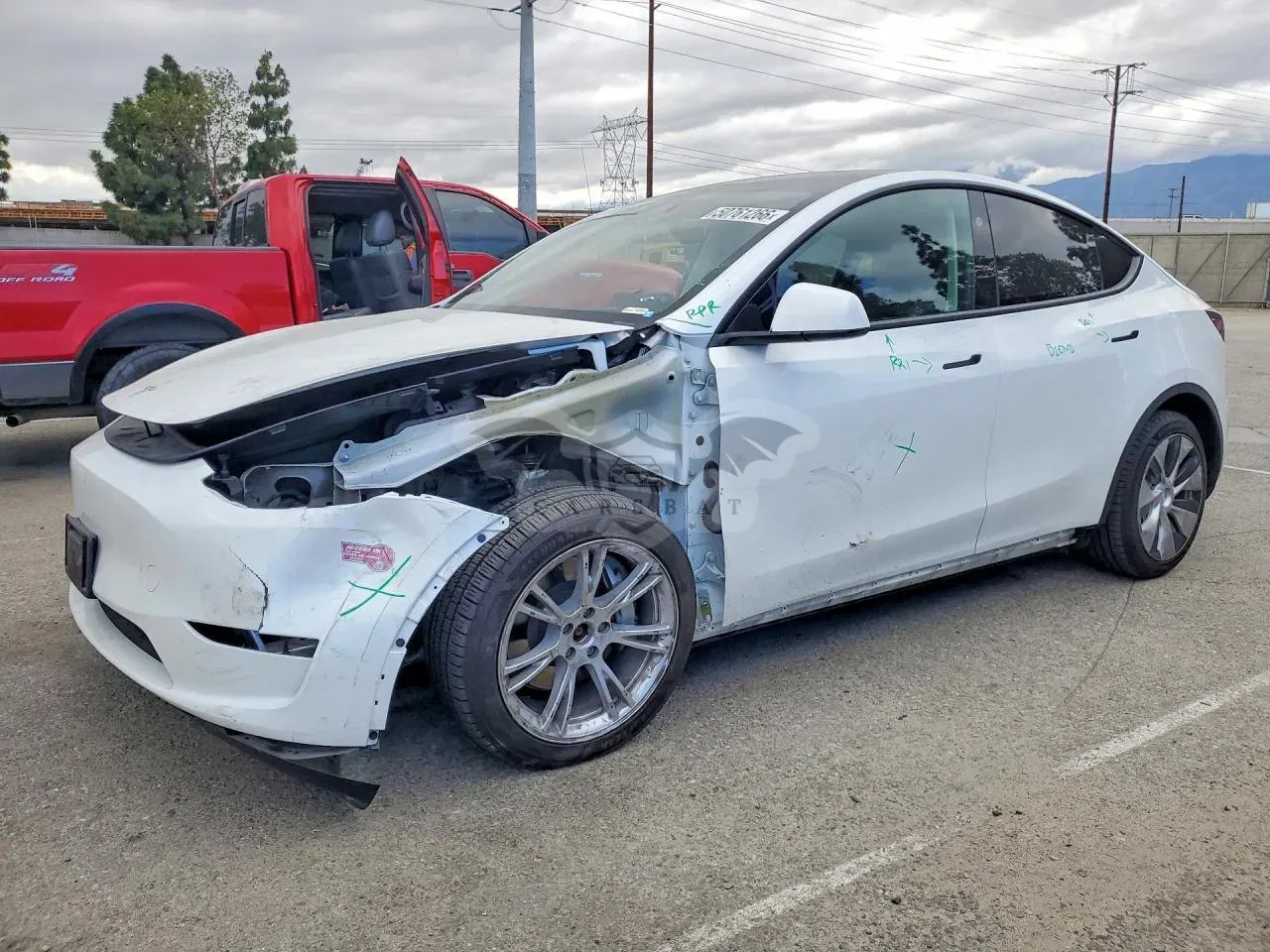 Tesla Model Y 2024