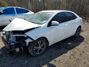Toyota Corolla 1.8L 4 2019